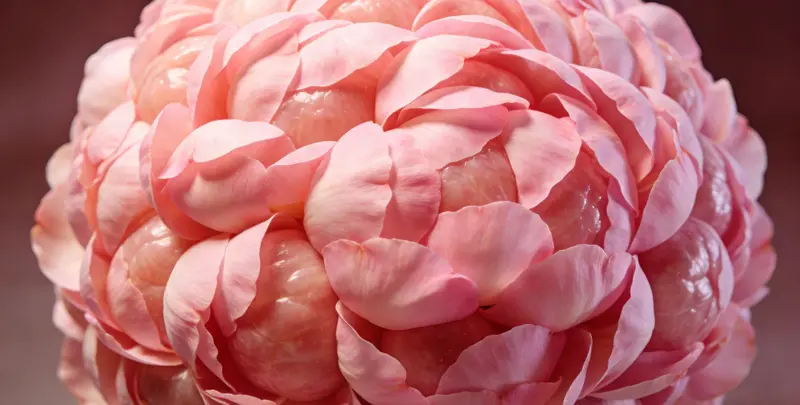 龙岩BRCA1/2乳腺癌卵巢癌基因检测图片1